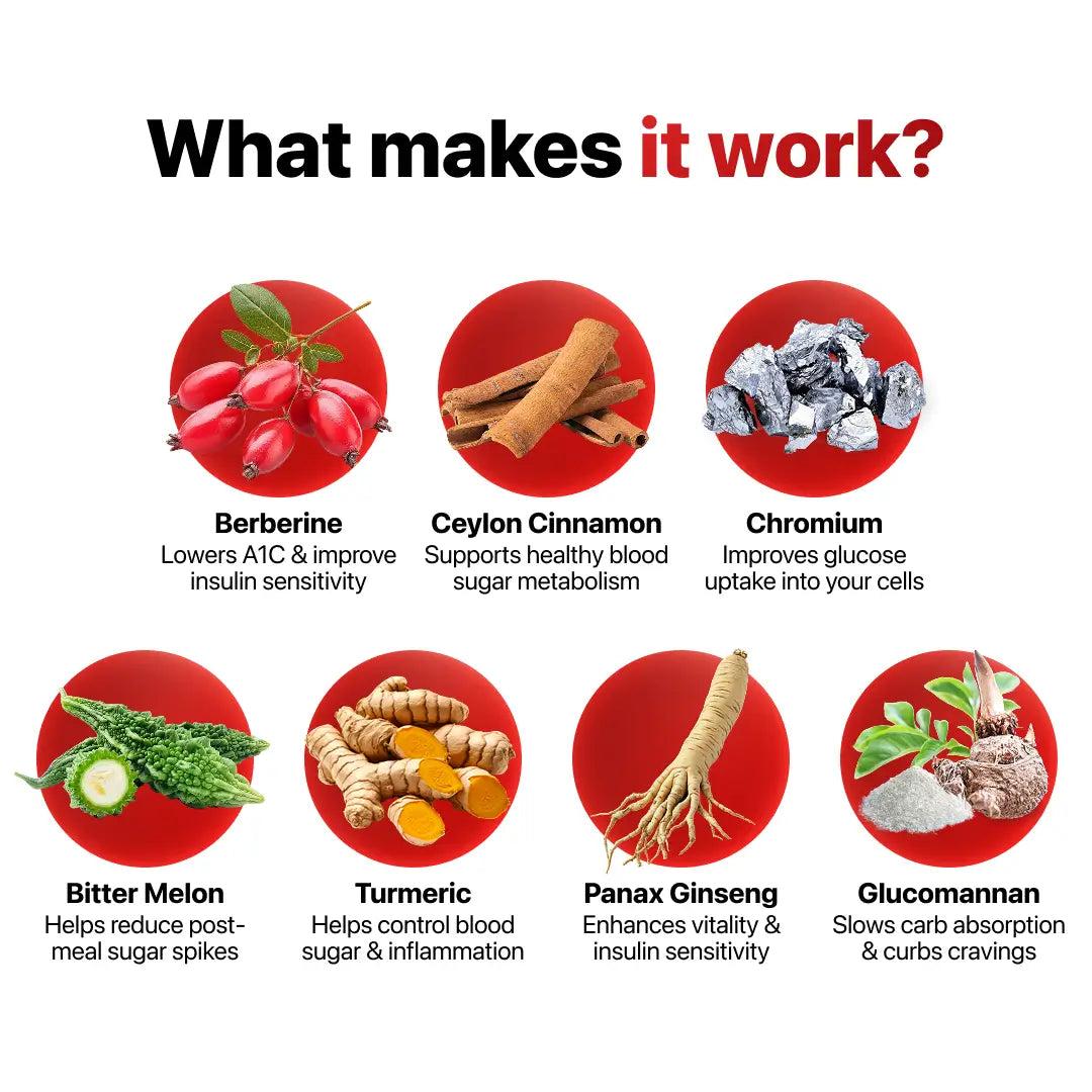 [ONE-TIME OFFER] Buy One, Get THREE FREE